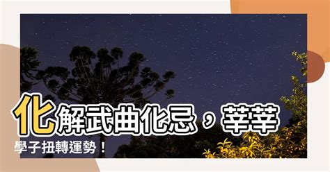 武曲化忌化解|武曲化忌會怎樣？財帛宮、田宅宮、官祿宮大解析 